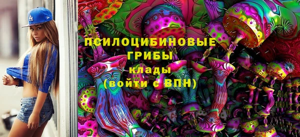 прущая мука Абаза