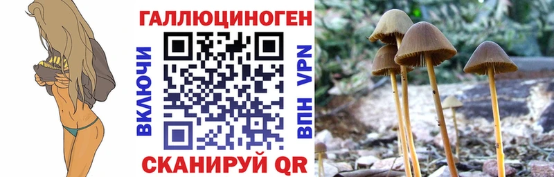 Галлюциногенные грибы мицелий  где продают   Сафоново 