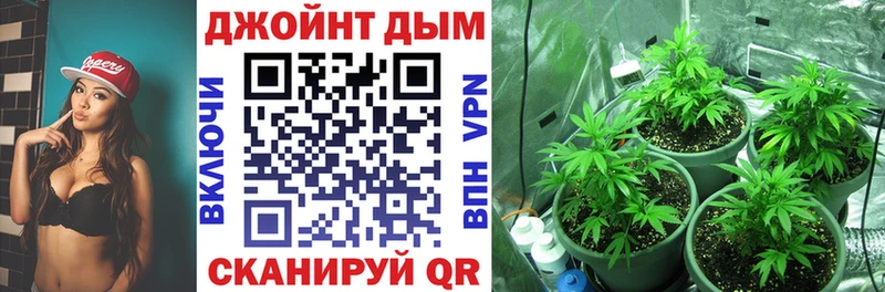 Конопля сатива  даркнет сайт  Сафоново 